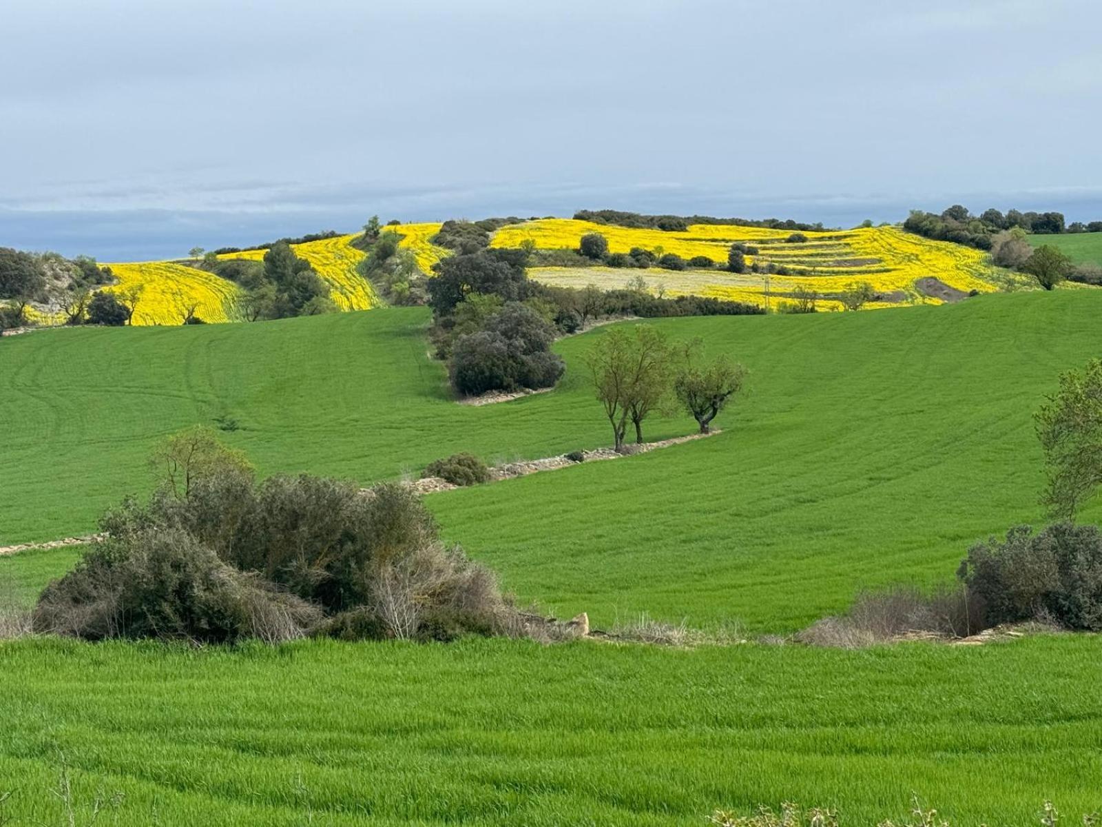 Masia De Queralt Luxury Casa Rural Spa Y Vistas Concabella Dış mekan fotoğraf