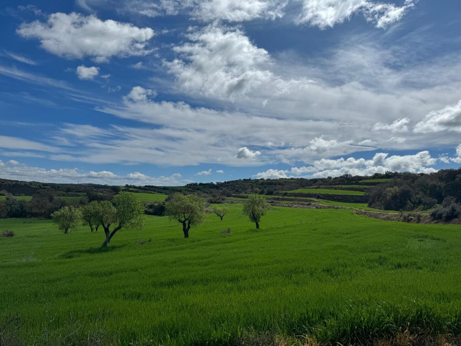 Masia De Queralt Luxury Casa Rural Spa Y Vistas Concabella Dış mekan fotoğraf